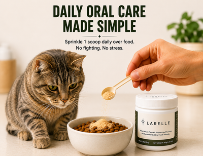Larelle Cat Teeth Cleaning Powder
