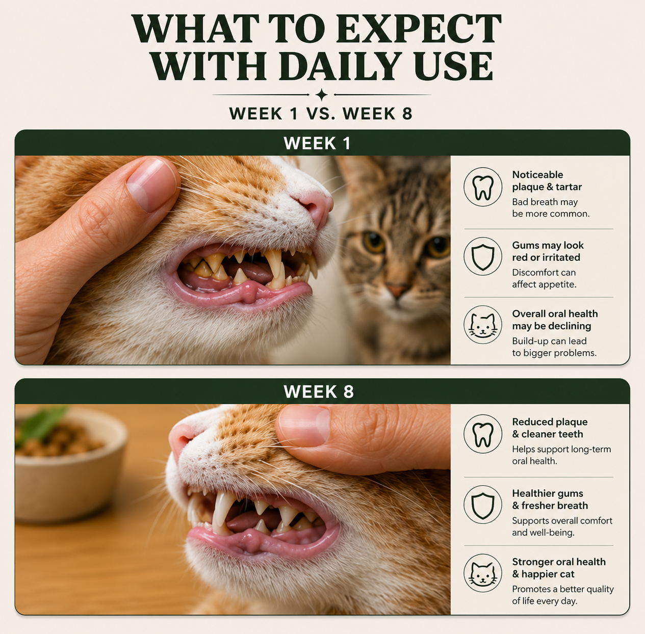 Larelle Cat Teeth Cleaning Powder