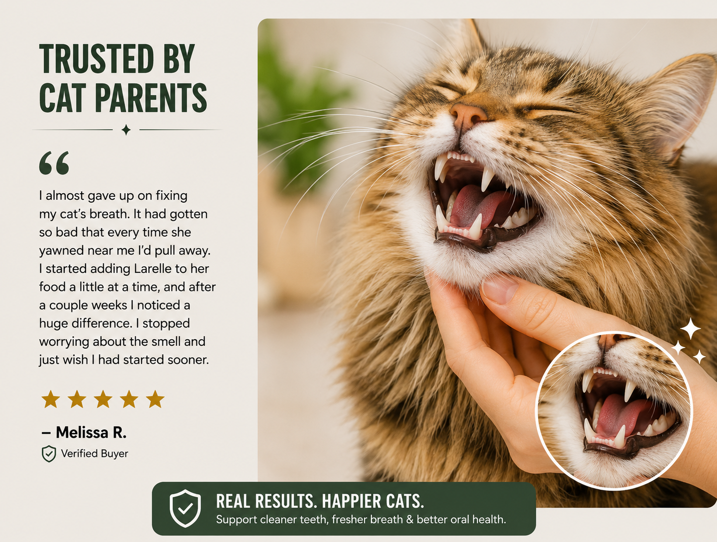 Larelle Cat Teeth Cleaning Powder