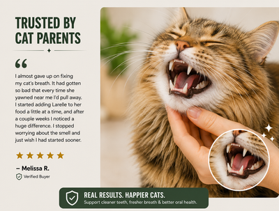 Larelle Cat Teeth Cleaning Powder